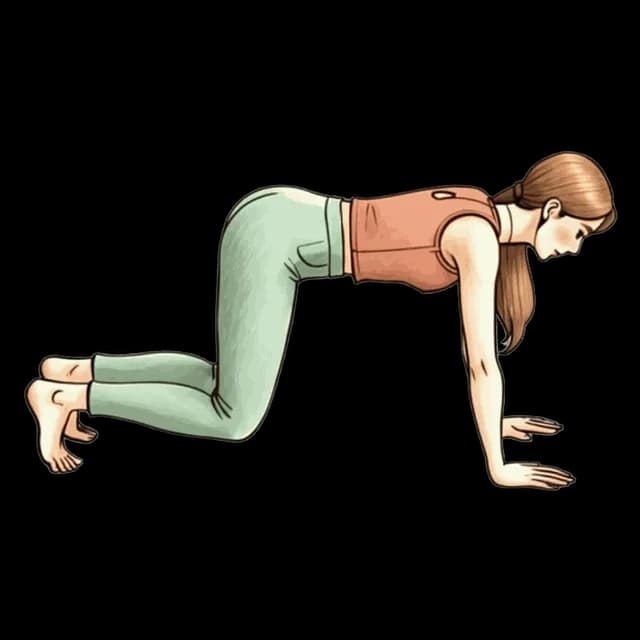 How to do Bear Plank Hold: illustration of the pose
