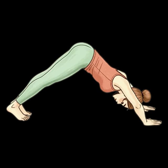How to do Bent Arm Pike: illustration of the pose