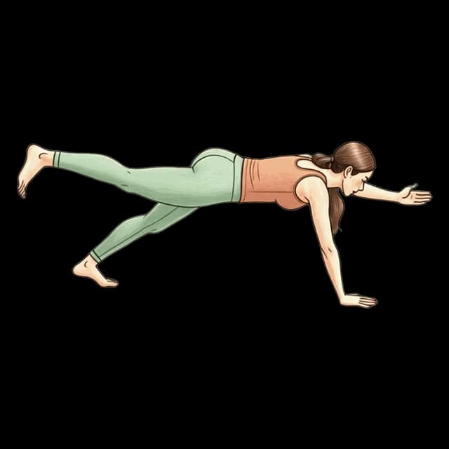Bird Dog Plank illustration