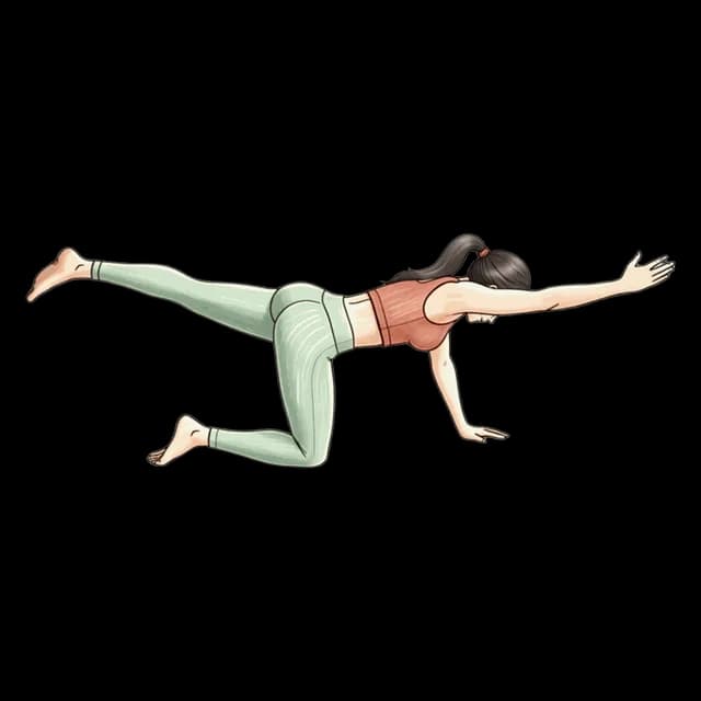 How to do Bird Dogs: illustration of the pose