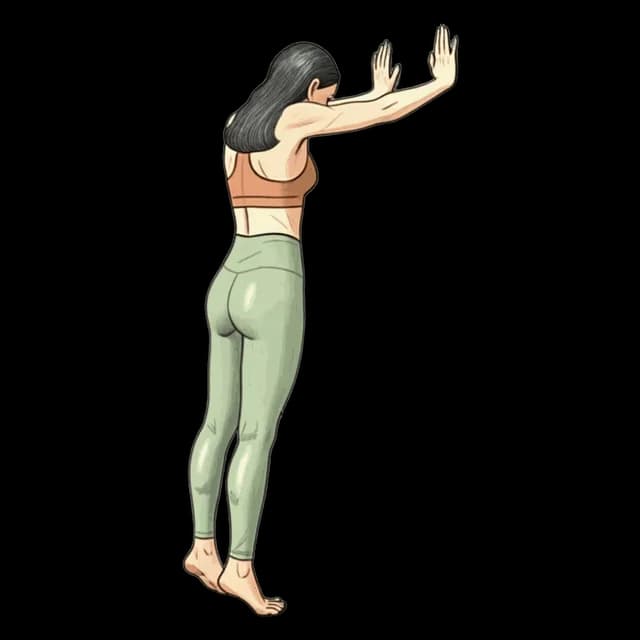 Calf Raises illustration