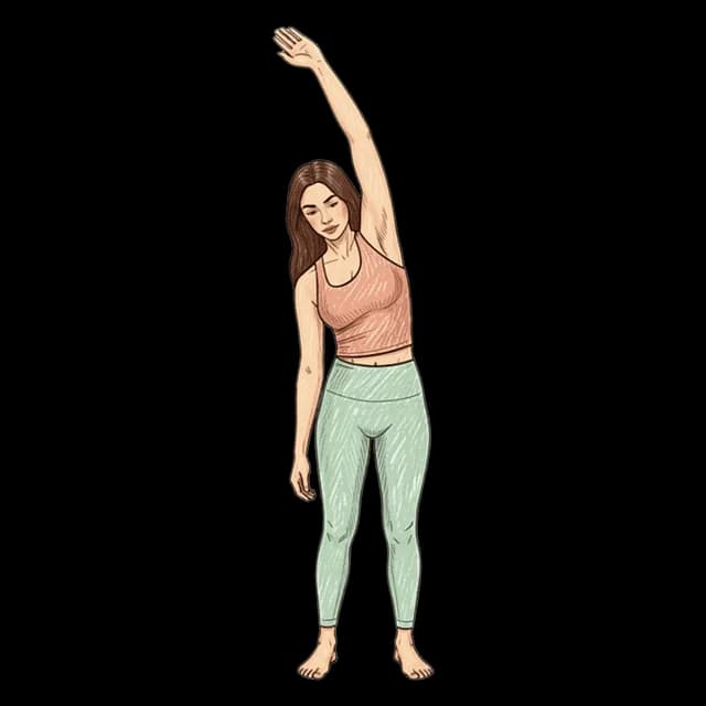 Dynamic Side Bends illustration