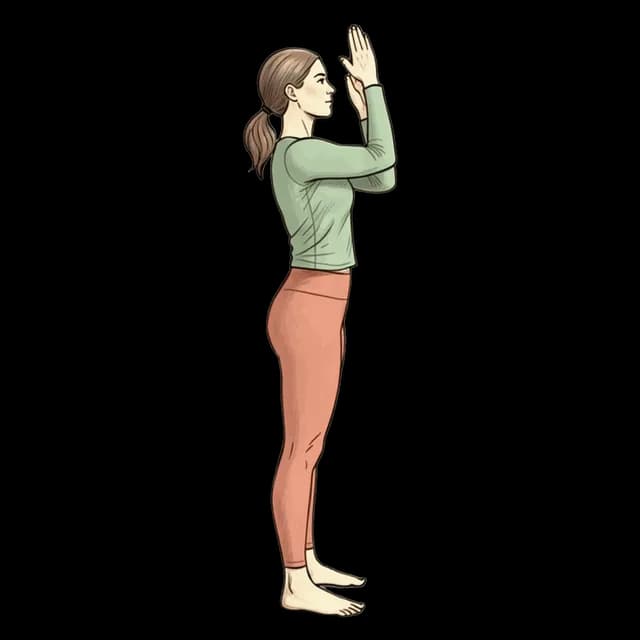 How to do Eagle Arm: illustration of the pose