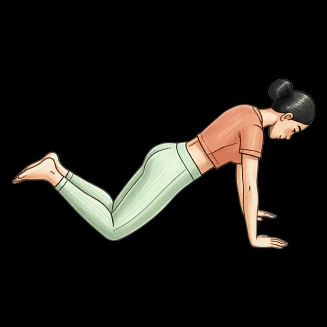 Knee Push-Ups illustration