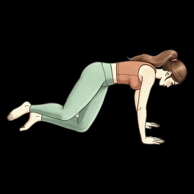 How to do Kneeling Hip Circles: illustration of the pose