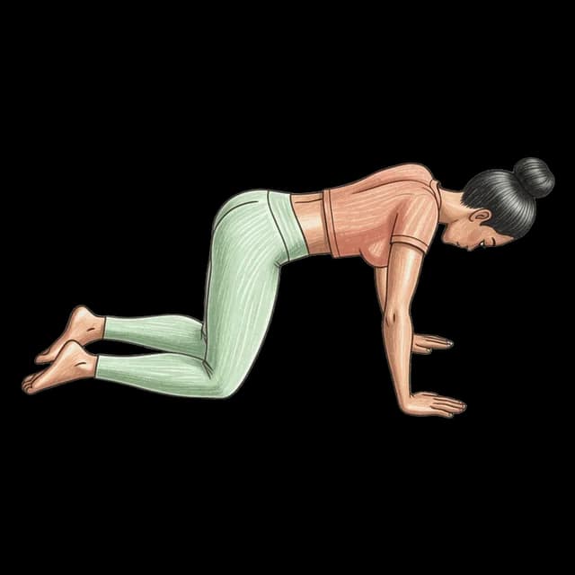 Kneeling Scapular Push-Ups illustration