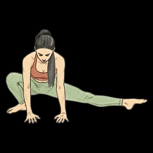How to do Low Side Lunge: illustration of the pose