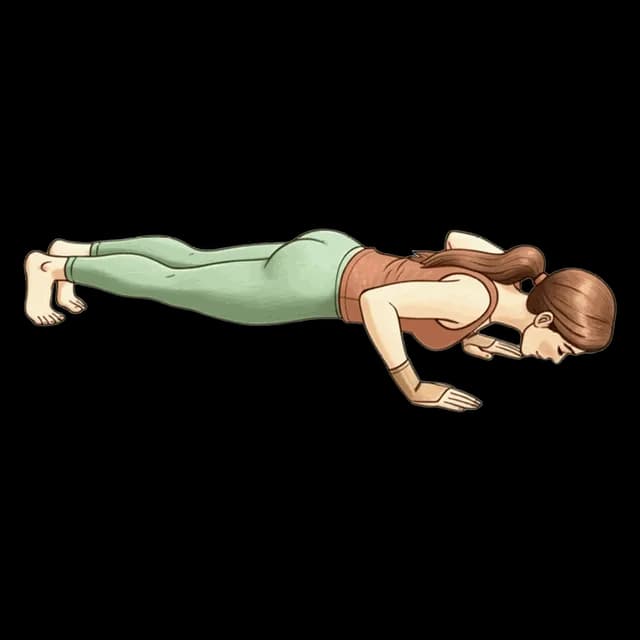 How to do Push Up Hold: illustration of the pose