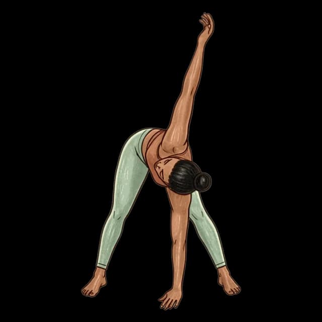How to do Revolved Wide Leg Forward Fold: illustration of the pose