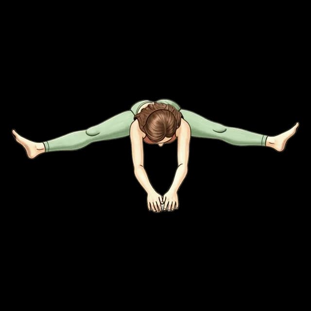 Seated Straddle illustration