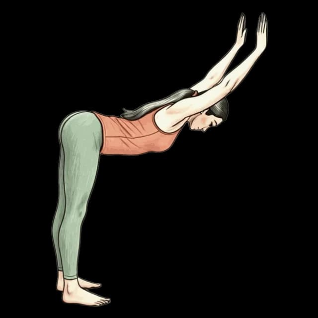 How to do Wall Dog: illustration of the pose