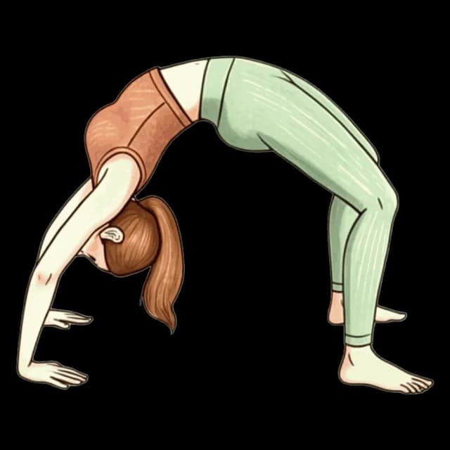 Wheel Pose illustration